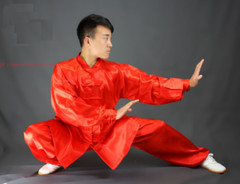 Unisex silks satins Tai chi Uniforms Wushu Martial arts Kung fu Wing Chun Suit