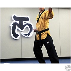 Mooto Kukkiwon Taekwondo High Dan Poomsae Uniform Dobok Gi TKD WTF Approved New