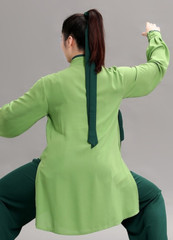 Chinese Costume Kung Fu Outfit Tai Chi Uniform Silk Linen Martail Arts Wushu
