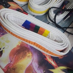 LOT OF 5 Pro Force Karate Belts Martial Arts Double Wrapped Reinforced & BAG