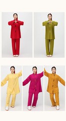 Tai Chi Clothes Wushu Clothing Kung Fu Dress Martial Art Uniform Spring Summer
