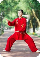 Tai Chi Uniforms Kung Fu Clothing Martial Arts Clothes Wushu Embroidery