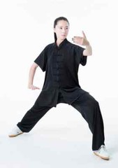 Summer Kung Fu Shirts Wing Chun Sport Tops Martial Arts Taichi Uniform Milk Silk