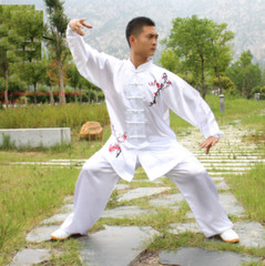 Unisex silks satins Tai chi Uniforms Wushu Martial arts Kung fu Wing Chun Suit