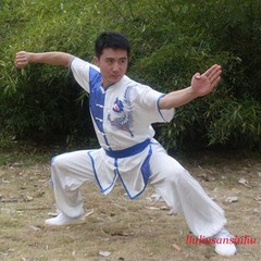 Satin Martial Arts Kung Fu Uniform Wushu Changquan Tai Chi Set Dragon Embroidery