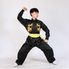 Silk Martial Arts Kung Fu Uniform Tai Chi Suit Wushu Clothes Dragon Embroidery