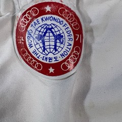Kids Youth Karate Tae Kwon Do Federation Top Martial Arts Korea Ninja