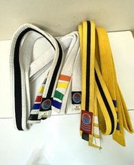 Pro Force Karate Belts Set of 4. Martial Arts Double Wrapped Reinforced