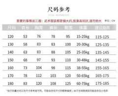 NEW Gradient Martial Arts Uniform Kung Fu Tai Chi Suit Dragon Embroidery Outfit
