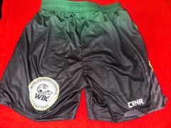 Muay Thai Festival Fight Gear mma Shorts , Boxing Size Small