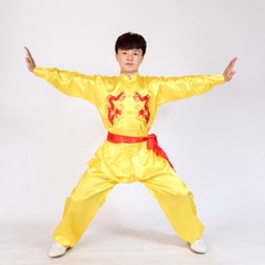 Silk Kung Fu Tai Chi Suit Uniform Martial Arts Changquan Uniform Outfit 5 Colors