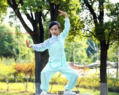 Unisex Kids Tai Chi Cotton Clothing Kung Fu Uniforms Wushu Martial Arts Suit Set