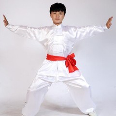 Silk Chinese Kung Fu Tai Chi Uniform Martial Arts Changquan Suit Outfit 7 Colors