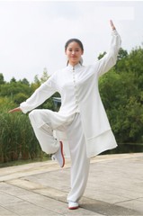 Tai Chi Clothes Wushu Clothing Kung Fu Dress Martial Art Uniform Spring Summer