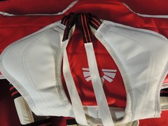 Martial Arts Set (small size) Leg/arm Pads Headgear Chest Protector Nunchucks