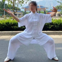 SUMMER Cotton Short-Sleeve Tai Chi Clothes Martial Arts Uniforms Kung Fu Suits