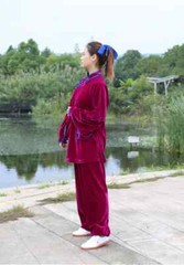 Winter Tai Chi Clothes Thick Kung Fu Dress Wushu Martial Art Uniform Long Sleeve