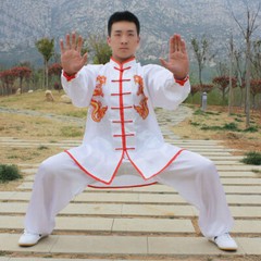 Chinese Kung Fu Tai Chi Silk Uniform Martial Arts Wushu Suit Dragon Embroidery