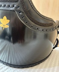 Japanese Kendo Do Chest Guard Armor Bamboo Body Tenka Special Coating