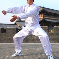 Martial Unisex Arts Uniform Kung Fu Suit Costume Tai Chi Performance Clothes New