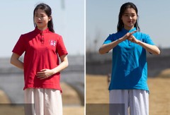 Summer Breathable Short Sleeve Kung Fu Shirts Wing Chun Training Vintage Sport