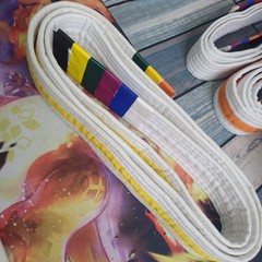 LOT OF 5 Pro Force Karate Belts Martial Arts Double Wrapped Reinforced & BAG