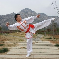 Chinese Kung Fu Tai Chi Silk Uniform Martial Arts Wushu Suit Dragon Embroidery