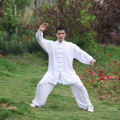 Unisex Cotton Tai chi Uniforms Kung fu Suit Wing Chun Martial arts Wushu Clothes