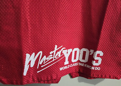 Adult VISION Taekwondo Gi Uniform Size 4/180, RED, Master Yoo Black Belt Patches