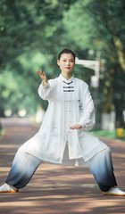 Kun Master Tai Chi Clothes Kung Fu Dress Martial Art Uniform Wushu Clothing