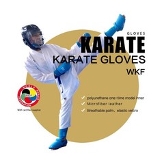 WESING Karate shin and Instep Guard Karate Gloves Approved by WKF red Small