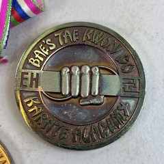 Tae Kwon Do Medal Lot Bae’s Karate Academy USA VA States Championship 80B13