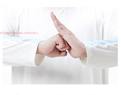 Unisex Martial Arts Suit Chinese Traditional Milk Silk Tai Chi Kung Fu Uniform