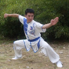 Silk Martial Arts Kung Fu Uniform Wushu Changquan Tai Chi Suit Dragon Embroidery