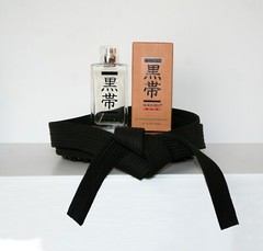 Black Belt Cologne (Men) or Perfume (Women) 3.4 oz EDP – 1 Bottle of Your Choice