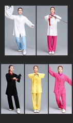 Tai Chi Clothes Wushu Clothing Kung Fu Dress Martial Art Uniform Spring Summer