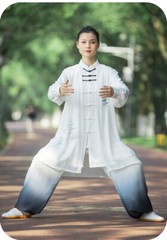 Kun Master Tai Chi Clothes Kung Fu Dress Martial Art Uniform Wushu Clothing