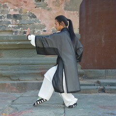China Wudang Taoist Robe Martial arts kung Fu Performance Uniforms Tai Chi Veil