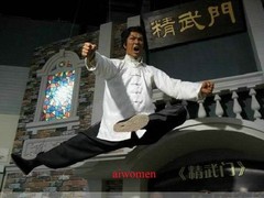 Wing Chun Kung Fu Outfits Adult Unisex Costume Martial Arts Uniform Sport Suits
