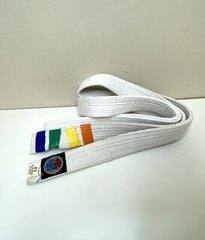 Pro Force Karate Belts Set of 4. Martial Arts Double Wrapped Reinforced