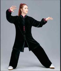 Winter Tai Chi Clothes Thick Kung Fu Dress Wushu Martial Art Uniform Long Sleeve
