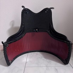 Japanese Kendo Do Chest Guard Armor Bamboo Body 60 Pieces Signed Craft