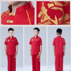 Traditional Chinese Kung Fu Uniform Martial Arts Suit Dragon Embroidery Outfit