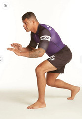 New Bad Boy Ranked Rashguard Purple Gi MMA BJJ Shirt Made in Brazil Adult