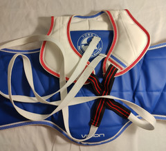 Vision World Class #1 Karate, MMA & Martial Arts Body Armor Sparring Gear Child