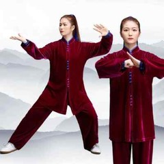Winter Tai Chi Clothes Thick Kung Fu Dress Wushu Martial Art Uniform Long Sleeve