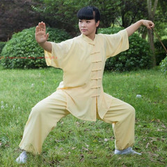Unisex Cotton Blend Tai Chi Suit Summer martial arts Uniforms Kung Fu Clothing