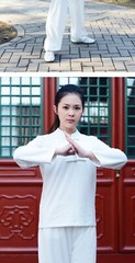 Cotton Kung Fu Tai Chi Clothing Breathable Martial Arts Clothes Taijiquan Wushu