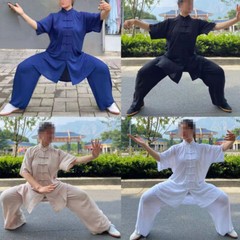 SUMMER Cotton Short-Sleeve Tai Chi Clothes Martial Arts Uniforms Kung Fu Suits
