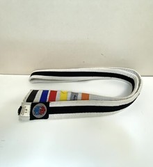 Pro Force Karate Belts Set of 4. Martial Arts Double Wrapped Reinforced